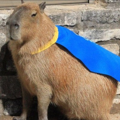 Capivara intergaláctica🏳🌈 (@ate_o_infinitol) / X