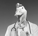 Desktopcustoms's profile picture. Just an average guy trying to make a difference with his blogs! Hope you really enjoy them!