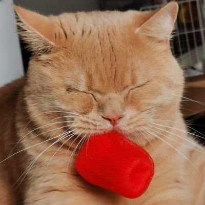 kenny121371's profile picture. 