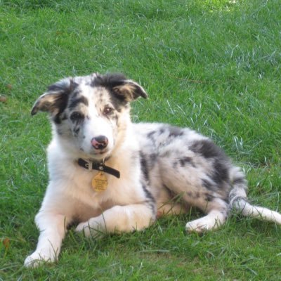 sharmanlynne's profile picture. 