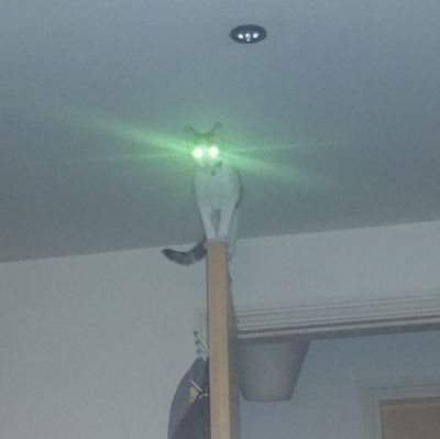 Neuqie's profile picture. fuck