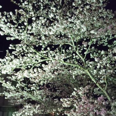 誰かの裏あか～

本垢にするかも(・ε・｀ )

Apex 最近はまってる( ＞Д＜；)
クソザコ

ケモナー、デブ専、ゲイ

エロもあるかも
病みやすいから長い目で見て

175/94/32