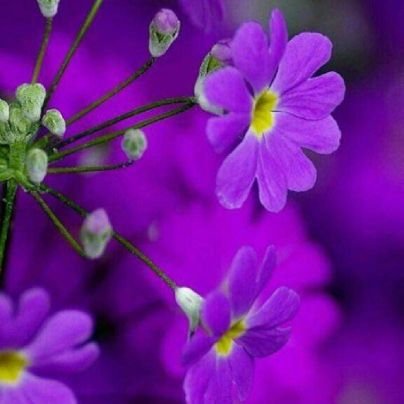 Arjunsu56331226's profile picture. 