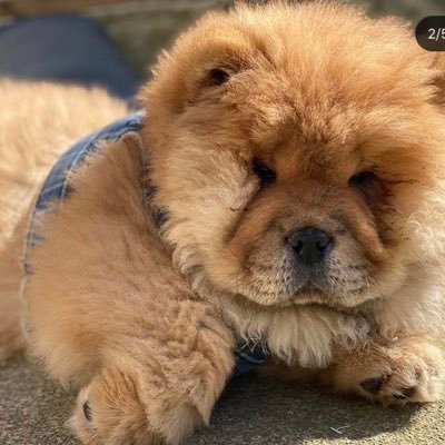 charlot09066141's profile picture. 