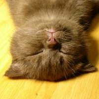 Ta (@ta_00658) 's Twitter Profile