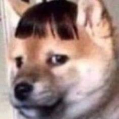 PhamDuc901's profile picture.
