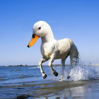 Kevin Klain (@virgulaxinger) 's Twitter Profile