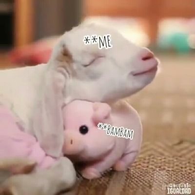 pamabumbum's profile picture. 💚GOT7💚
JB❤MARK❤JACKSON❤JINYOUNG❤YOUNGJAE❤BAMBAM❤YUGYEOM
@yugyeom @BamBam1A @marktuan @jaybnow_hr