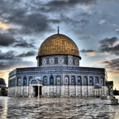 Bu_Mohamed3's profile picture. 