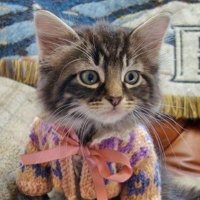Pawel J (@pawel89931006) 's Twitter Profile
