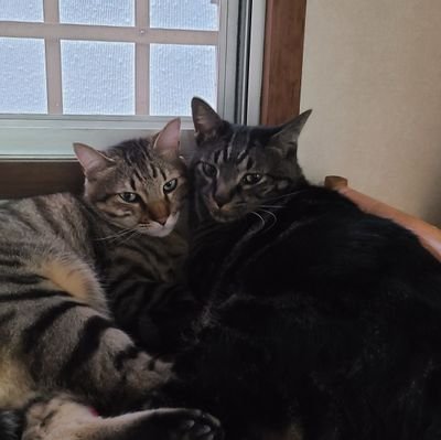 D2Crd0R6SbrS2BY's profile picture. 