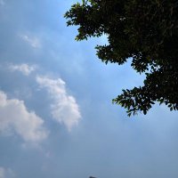 milo (@mmiloo255) 's Twitter Profile