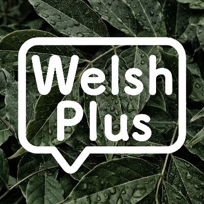 YouTube videos to help adults learning Welsh. All the best with the learning!
Fideos ar YouTube i helpu oedolion sy'n dysgu Cymraeg. Pob hwyl gyda'r dysgu!