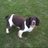 jillroffey13's profile image