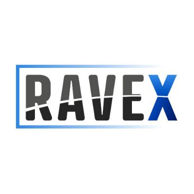 RaveX IT Services