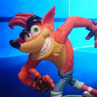 イルカはかせさんのプロフィール画像