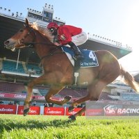 Jason Warren Racing (@warrenracing) 's Twitter Profile
