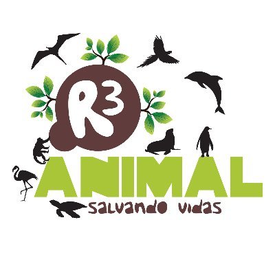 Resgatamos, reabilitamos e devolvemos à natureza animais silvestres. Executamos o Projeto de Monitoramento de Praias da Bacia de Santos (PMP-BS), na Ilha de SC