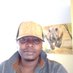 Difreh (@mynahfred) Twitter profile photo Difreh (@mynahfred) Twitter profile photo