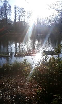 iiinoda's profile picture. 【カウンセラー】【結婚コンサルタント】感情はカウンセリング。思考はコンサルティング。自身とクライアントの可能性を高めるべく日々奮闘中です。宜しくお願い申し上げまーす。