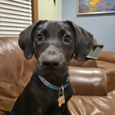 dlkj78's profile picture. 