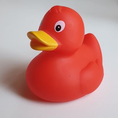 (r)Ed the Duck