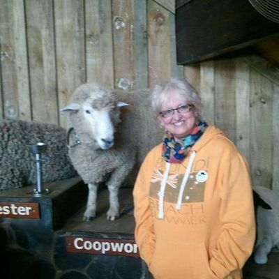 webteach's profile picture. When one door closes, another door opens.