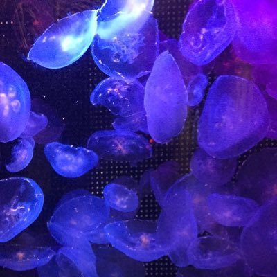 アオキさんのプロフィール画像