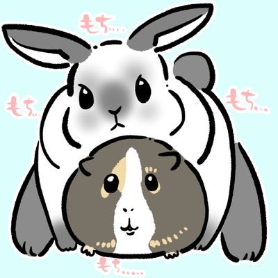 もこ🐰＆がんも🌈さんのプロフィール画像