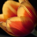 Luis Maceda - @NiiGhT_0313 - Twitter