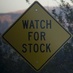 Watch For Stock (@watchforstock) Twitter profile photo Watch For Stock (@watchforstock) Twitter profile photo