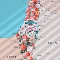 Halima Al Balushi (@7alima_alblushi) Twitter profile photo