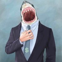 The People's MMA 🦈(@ThePeoplesMMA) 's Twitter Profile Photo