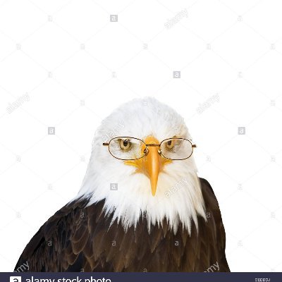 Mark441010's profile picture. 