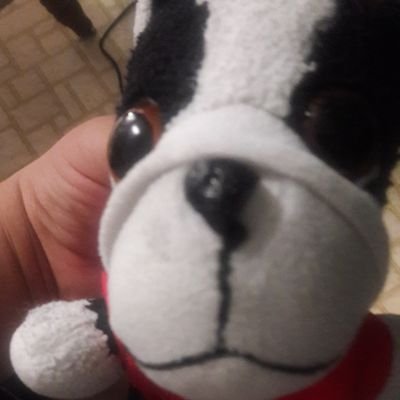 Criscool2020's profile picture. hi dude aka adopt me info