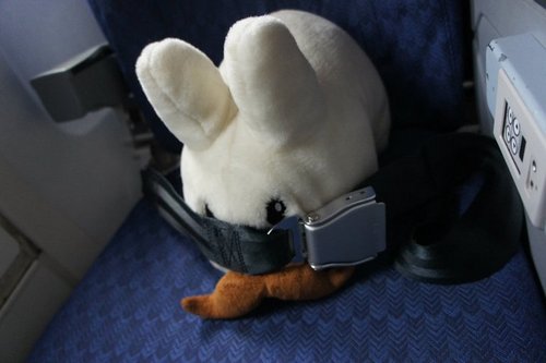 I'm Labbit; a stuffed toy with a moustache & a passport. I travel the world trying to make people smile. Follow my #TravelTips & #TravelPics #IFOLLOWBACK