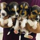 Brandon Barros - @BrandonBarros7 - Twitter