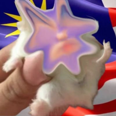 ellykiyott Profile Picture
