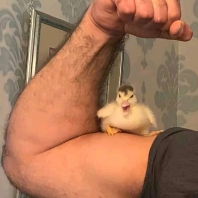 Slender_Rise's profile picture. Michi💕 Started dating her on cinco de mayo, which happened to land on Taco Tuesday, which also happened to be durning a global pandemic😐 Man I love her 🥺💕