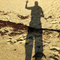 Frank Rauschenberg 🇪🇺🇩🇪🇺🇦 (@frankrauschenb3) 's Twitter Profile