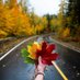 CelalFatma🇹🇷🌼 (@celalfatma2) Twitter profile photo CelalFatma🇹🇷🌼 (@celalfatma2) Twitter profile photo