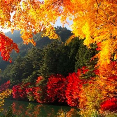 dnyabar4's profile picture. Global Peace