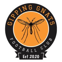 Gipping Gnats Football Club (@gippinggnatsfc) 's Twitter Profile