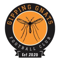 Gipping Gnats Football Club(@GippingGnatsFC) 's Twitter Profile Photo