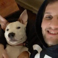 ryanpollack (@rapollack) 's Twitter Profile