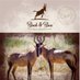 BucknBassTaxidermy (@pearlspottedowl) Twitter profile photo BucknBassTaxidermy (@pearlspottedowl) Twitter profile photo