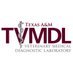 TVMDL (@tvmdl) Twitter profile photo TVMDL (@tvmdl) Twitter profile photo