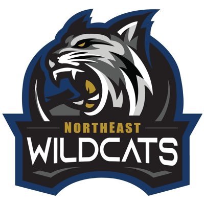 NortheastWildca's profile picture. 