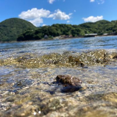 荒野行動。パズドラ。読書。ごくたまに釣り。「＃すずめの戸締まり」にはまってます。 Jリーグ、音楽も好きです。マイクラもやってます。