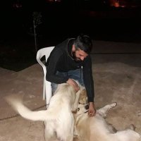 Demir31 (@demir3112) Twitter profile photo